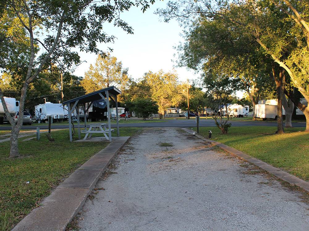 Travel trailers parked in RV spaces under trees at SAFARI MOBILE HOME  RV COMMUNITY