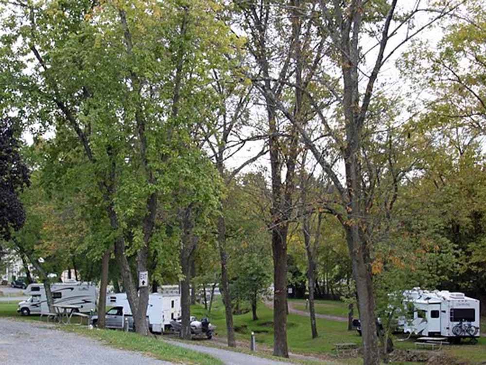 An overview of the campsites at LEATHERMAN'S FALLING WATERS CAMPSITE