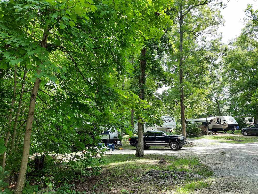 A row of RV sites surrounded by trees at DEER RIDGE CAMPING RESORT