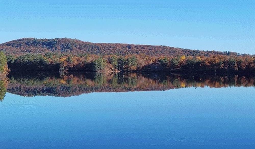 View of the water
