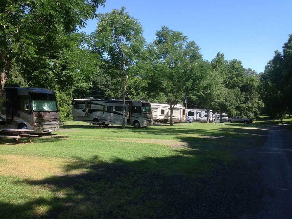 RVs parked in a row at GREENVILLE FARM FAMILY CAMPGROUND