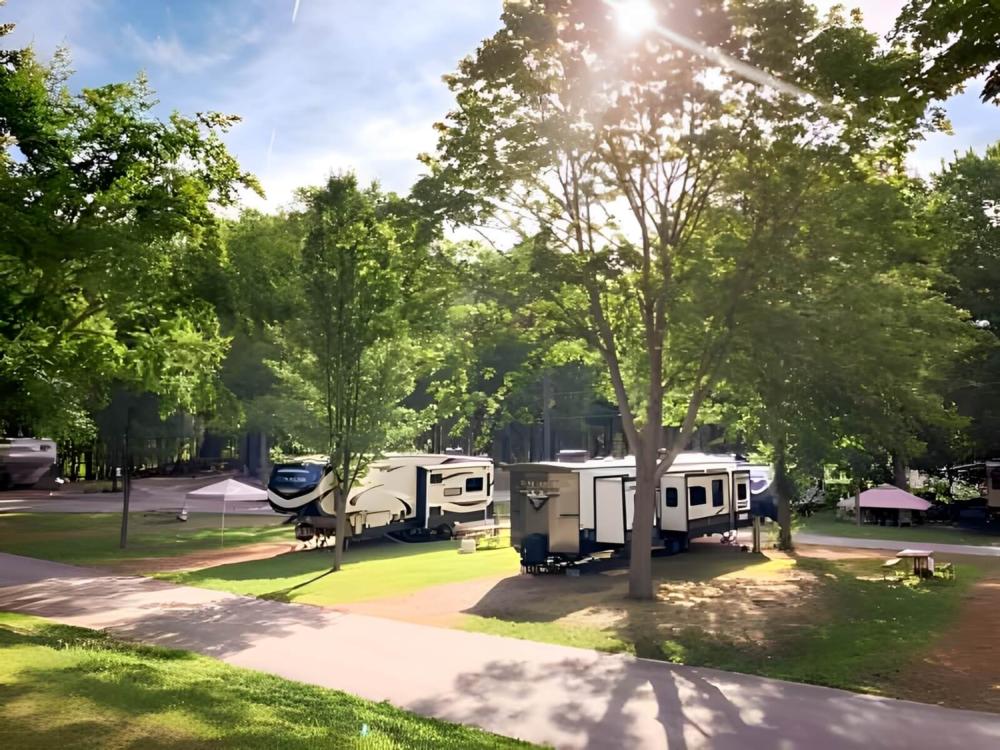 RVs parked in shady sites