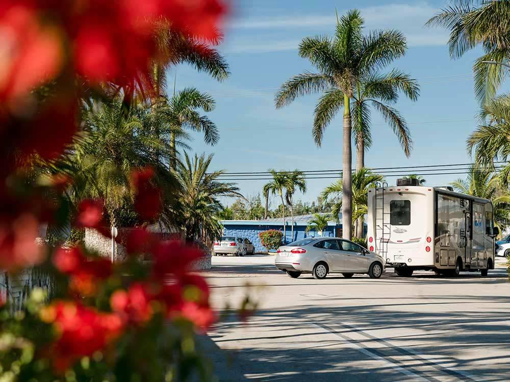RVs and truck and trailers camping at BOYD'S KEY WEST CAMPGROUND