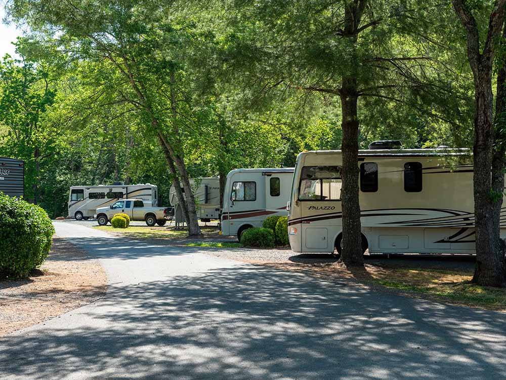Misty Mountain Camp Resort - Greenwood campgrounds
