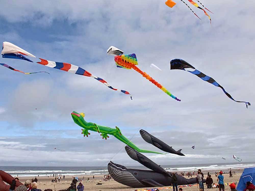 People flying kites on the beach at SEA & SAND RV PARK