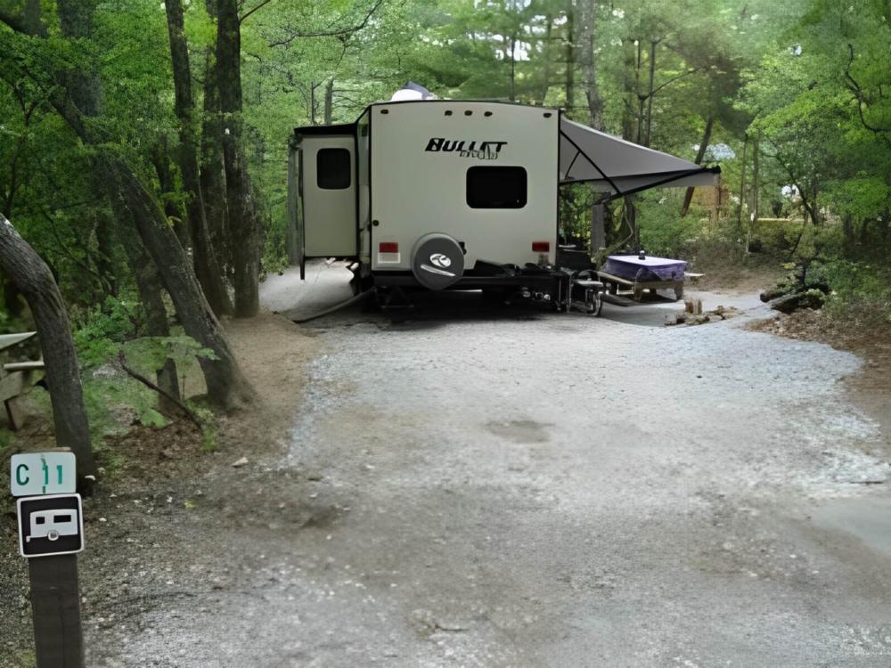 Large RV site in the trees