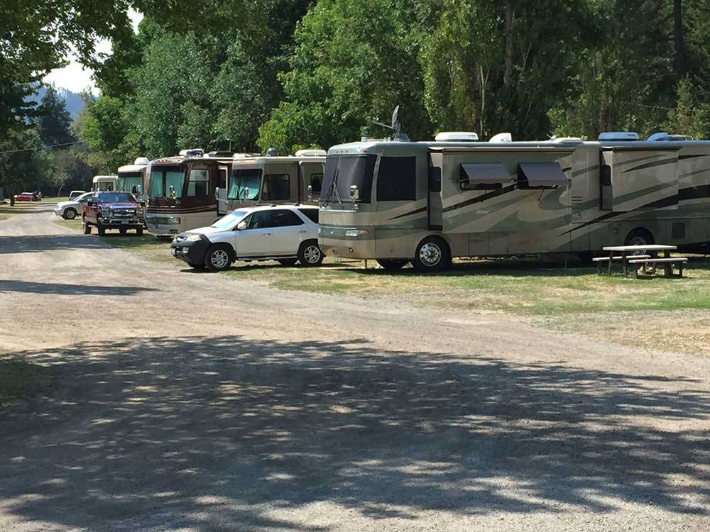 RVs parked in a row at WOLF LODGE CAMPGROUND