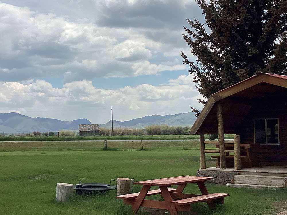 A grassy field with a picnic table next to a cabin at RUBY VALLEY CAMPGROUND & RV PARK