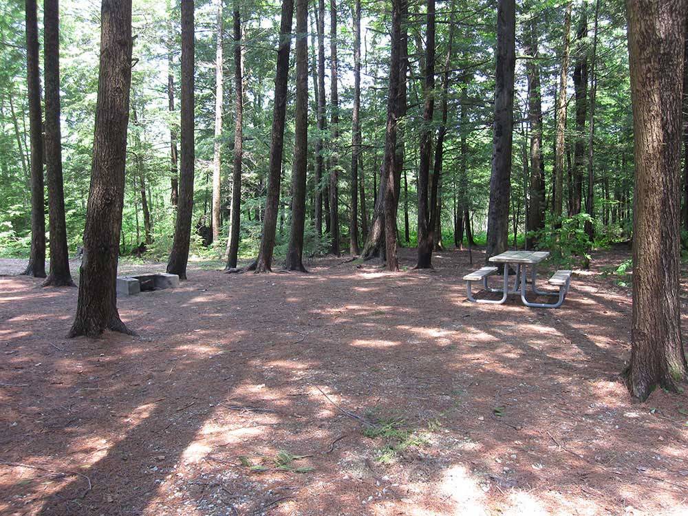Picnic table in the woods at WAKEDA CAMPGROUND