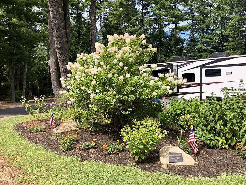 A planter with shrubs and a small American flag at WAKEDA CAMPGROUND