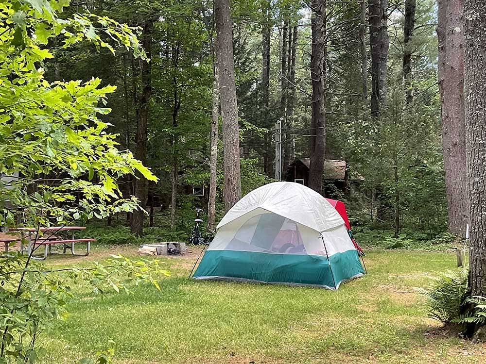 A tent in a camping site at WAKEDA CAMPGROUND