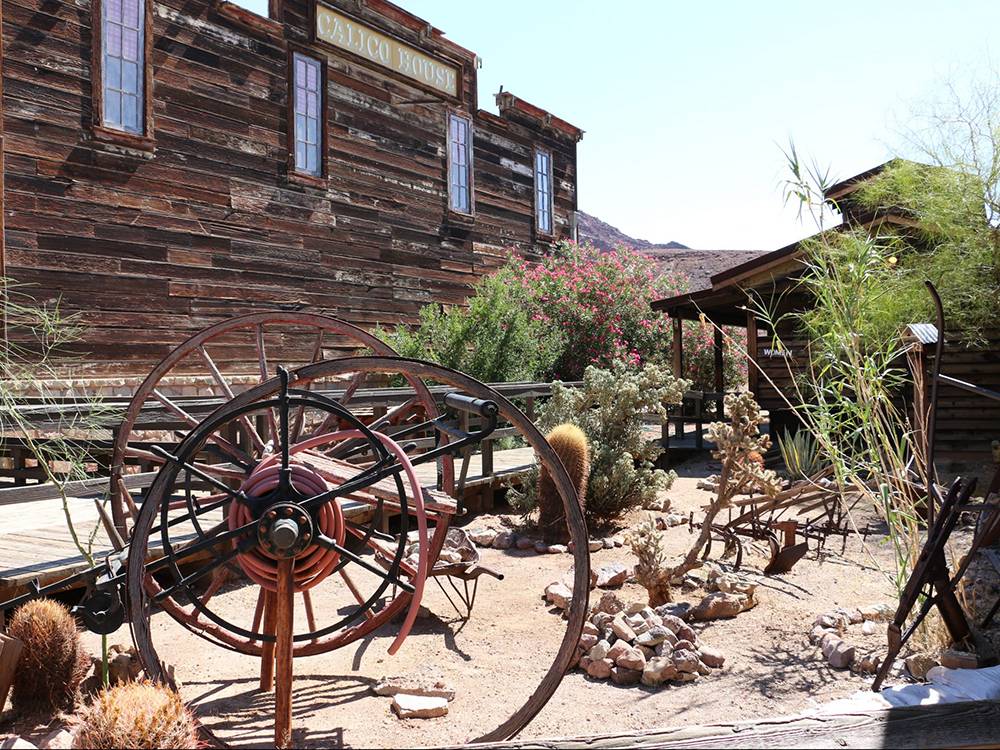 Building with desert landscape garden