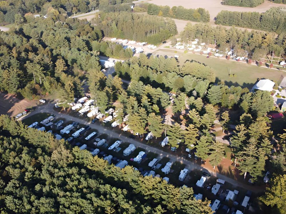 Sites with trees Eby's Pines RV Park & Campground