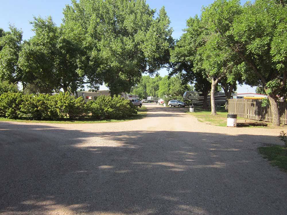 Campground with large green trees and shrubbery at HOLIDAY RV PARK & CAMPGROUND