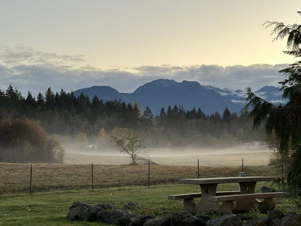 View of the picnic area