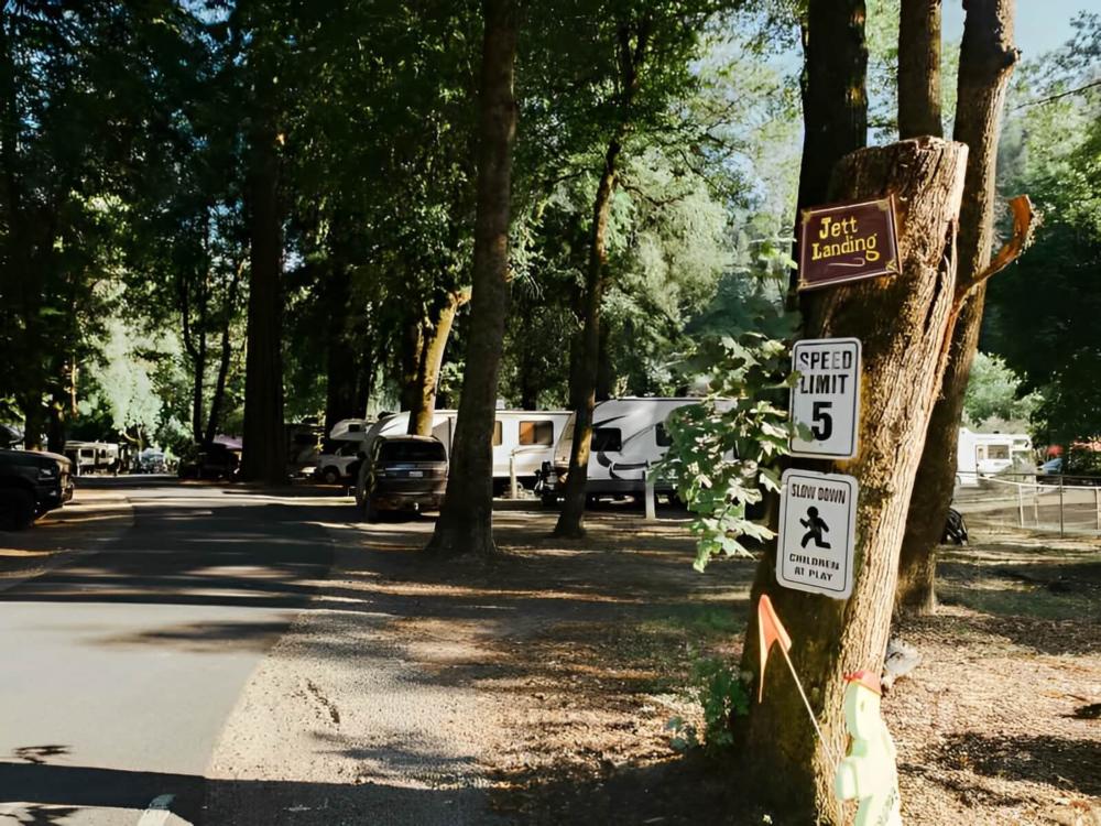 RV sites among the trees