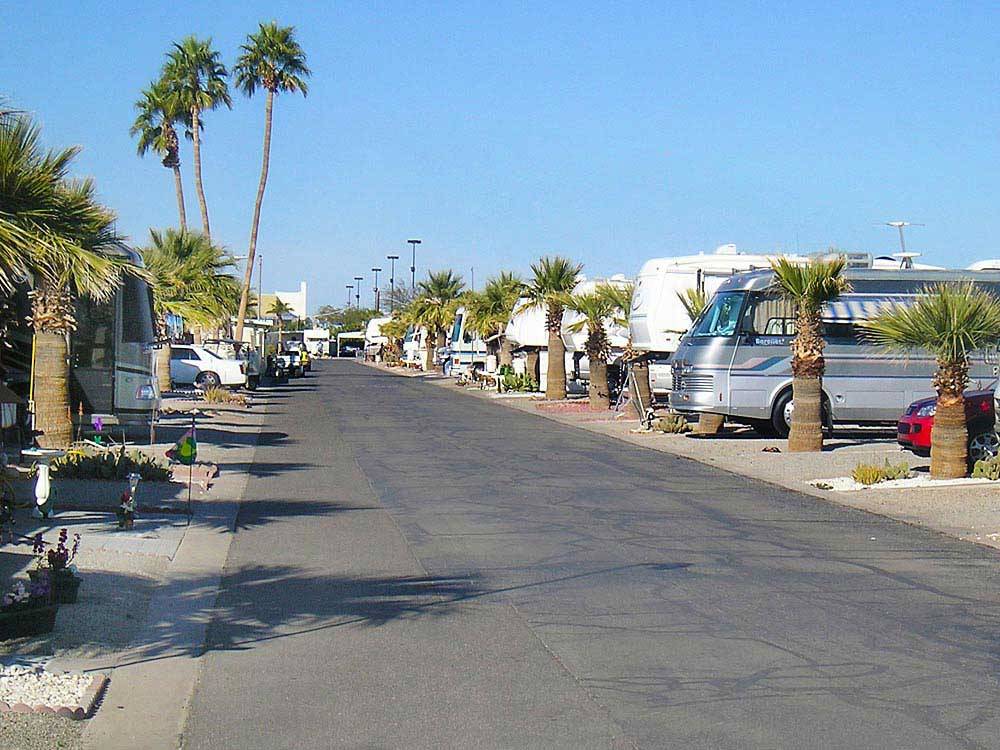 RVs and truck and trailers camping at ENCORE SUNI SANDS