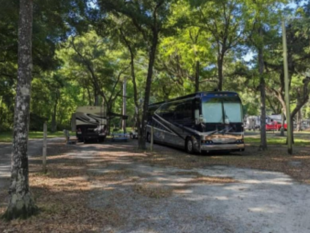 RV in gravel site at Spacious Skies Savannah Oaks