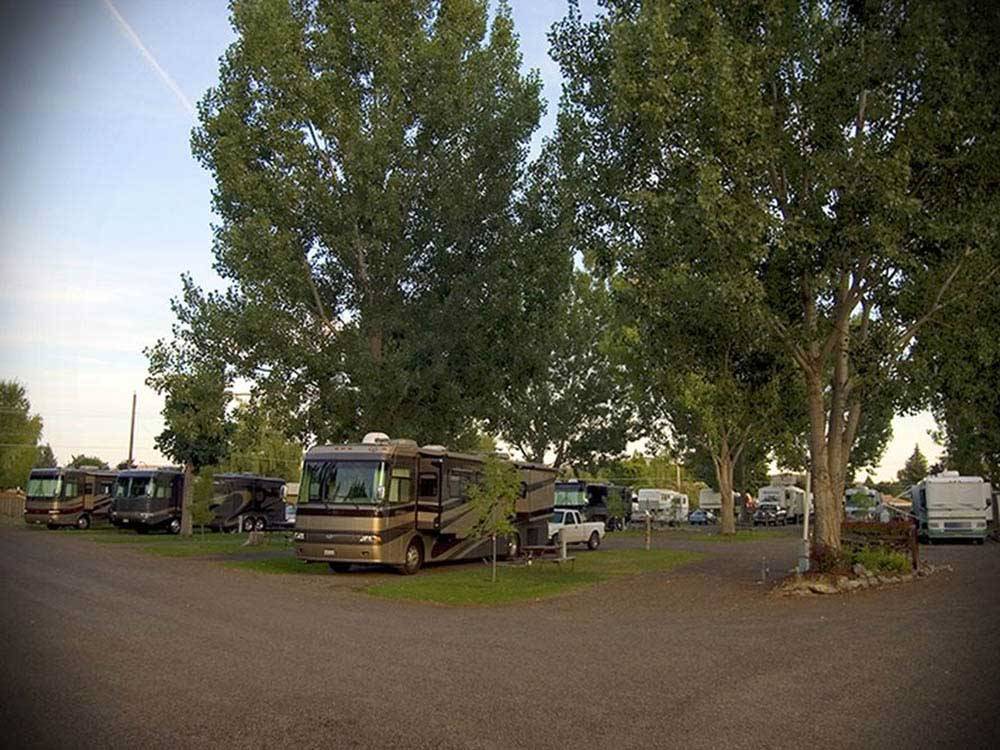 RVs and truck and trailers camping under large trees at MT VIEW RV ON THE OREGON TRAIL