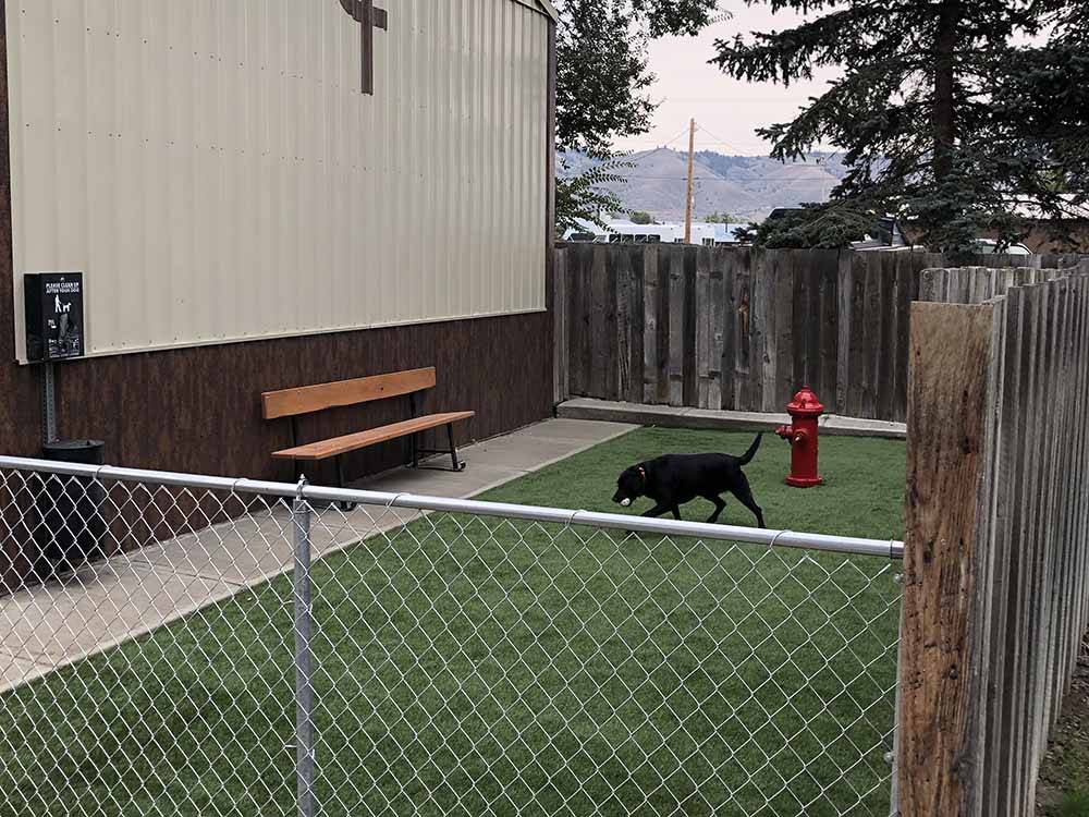 A dog playing in the pet area at MT VIEW RV ON THE OREGON TRAIL