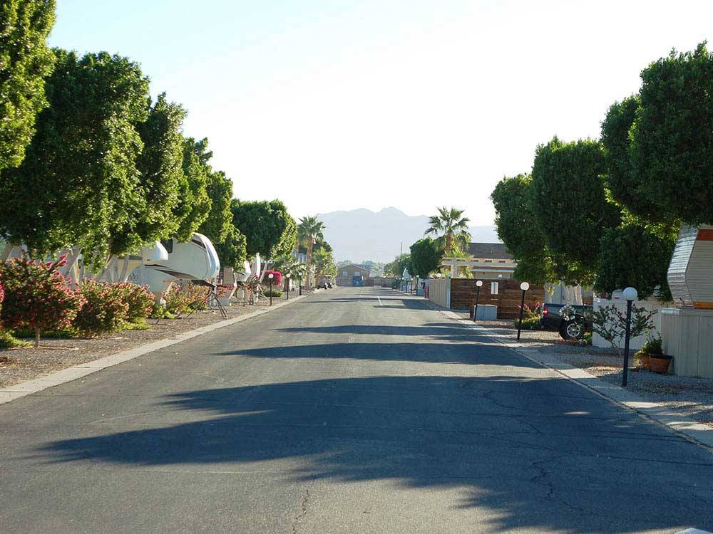 Street with trailers and trees on either side at ENCORE DESERT PARADISE