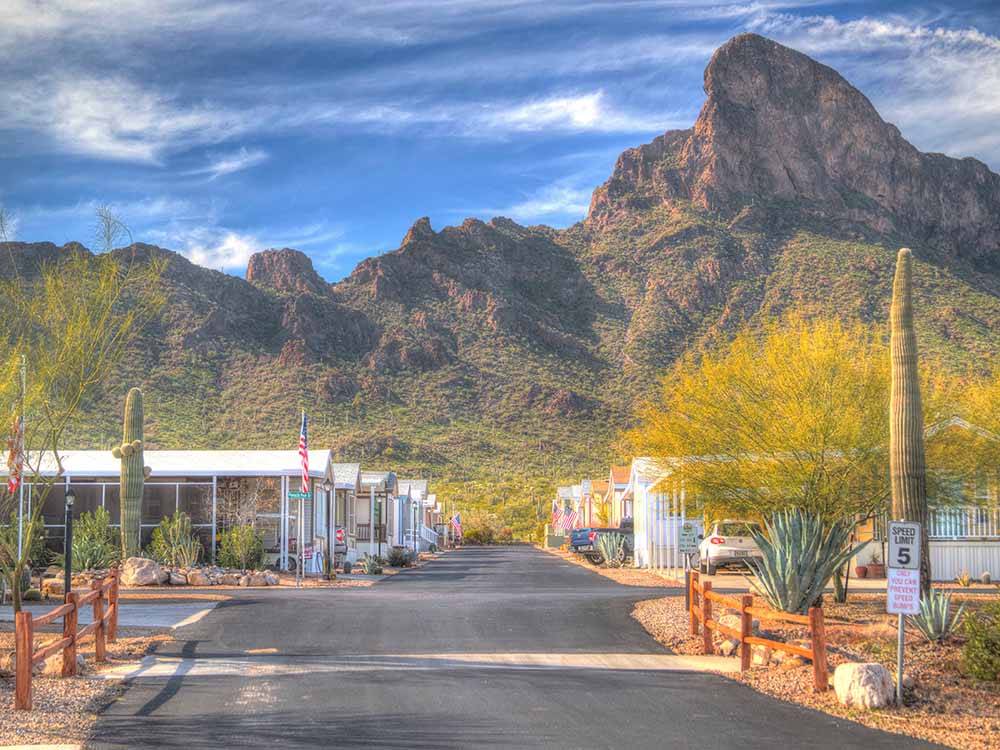 A row of mobile homes at PICACHO PEAK RV RESORT