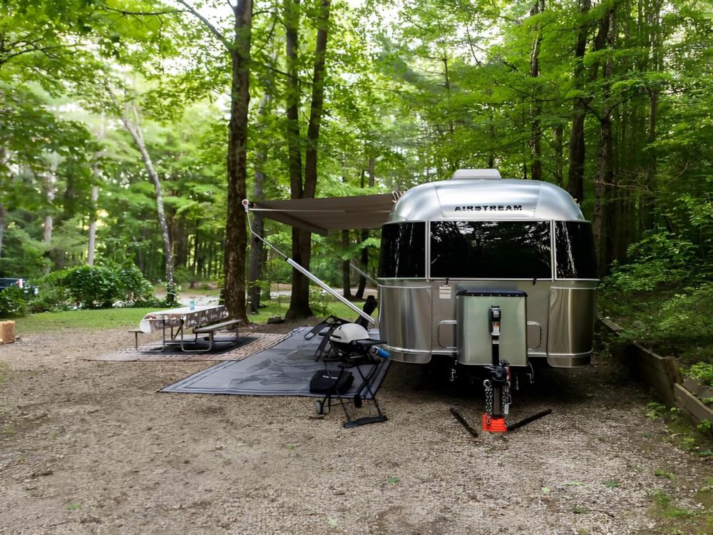 An Airstream trailer parked in a treed site