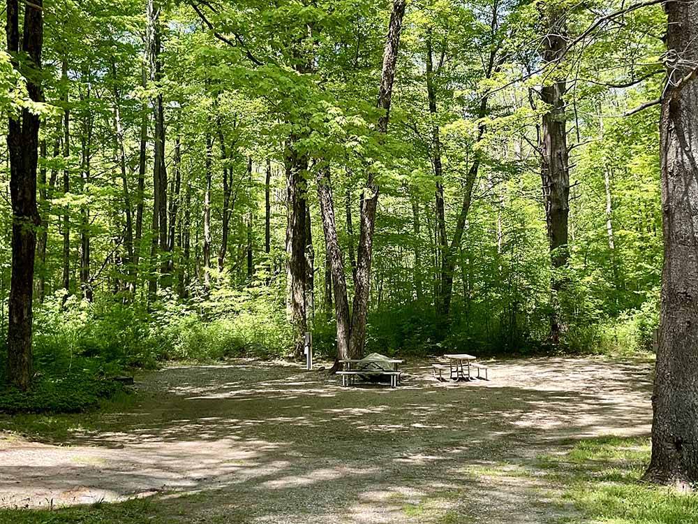 One of the dirt campsites at MT. GREYLOCK CAMPSITE PARK