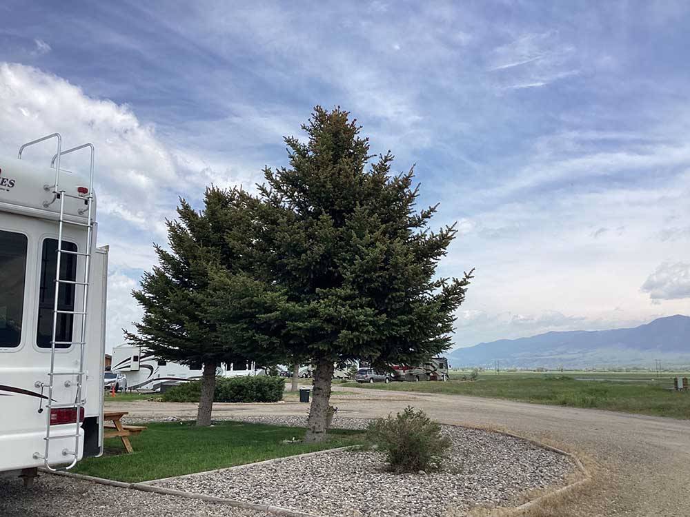 A tree next to a gravel RV site at STARRY NIGHT LODGING & RV -ENNIS
