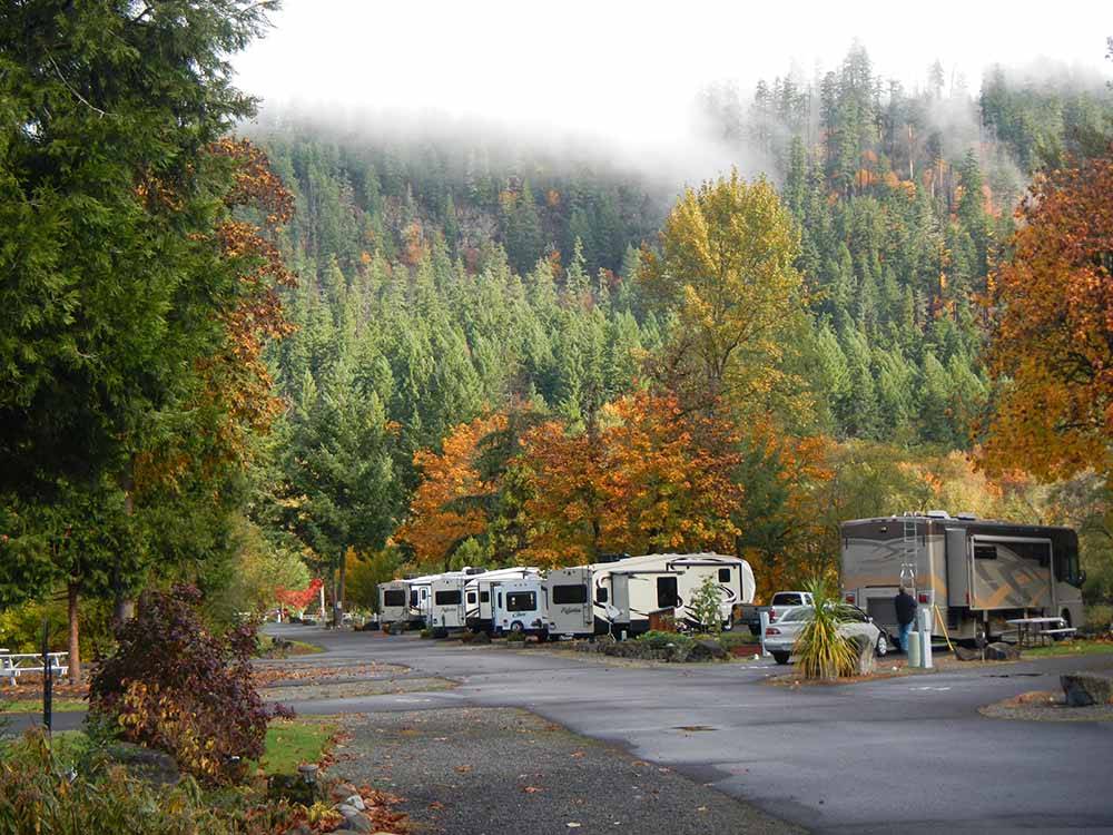 RVs parked among fall trees at CASEY'S RIVERSIDE RV PARK