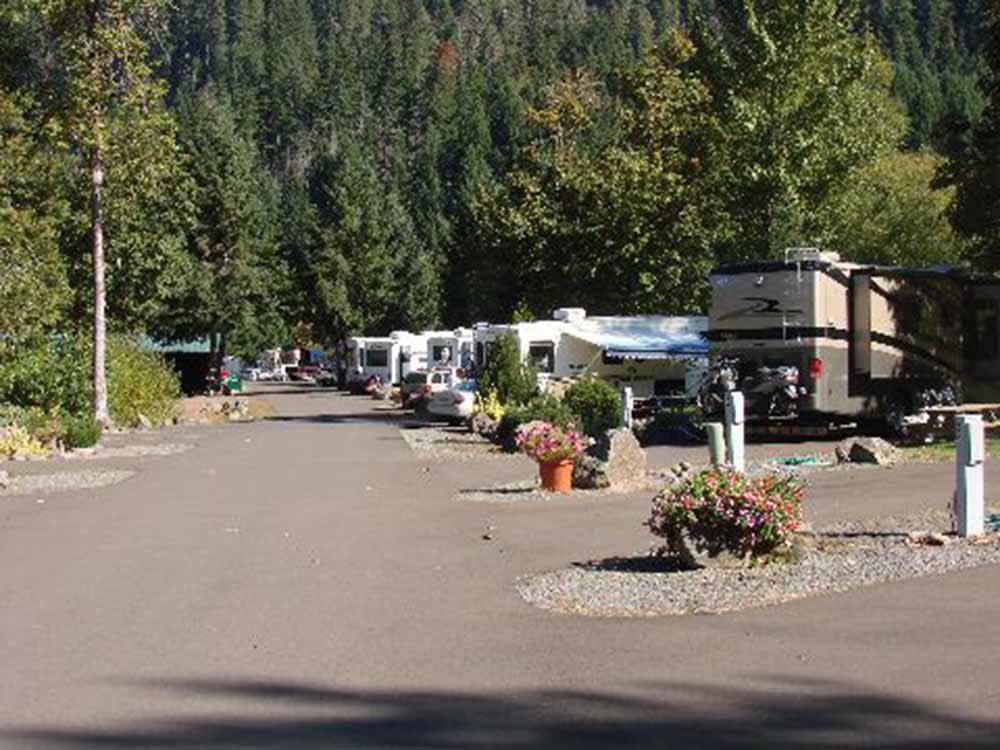 A row of paved RV sites at CASEY'S RIVERSIDE RV PARK