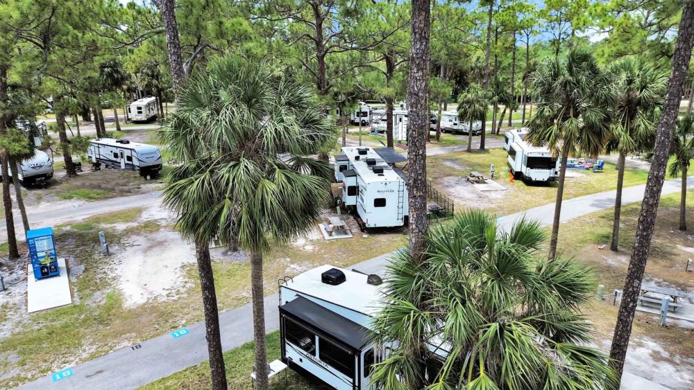 view of campsites among palm trees