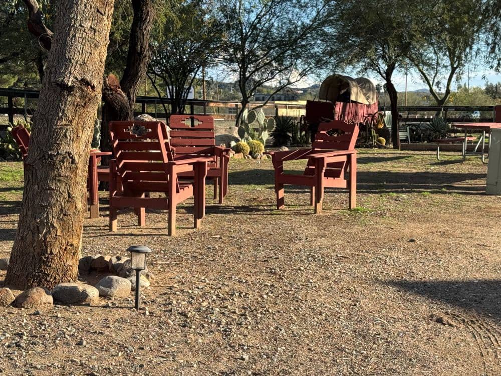 Four chairs among the trees