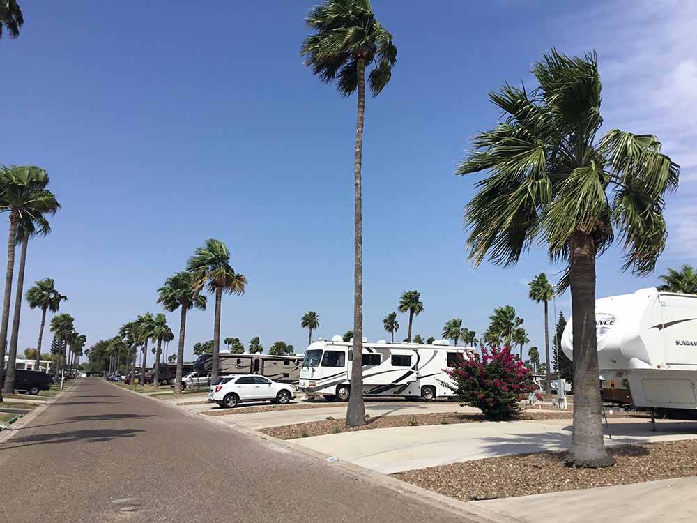 A row of paved RV sites at SEVEN OAKS RESORT