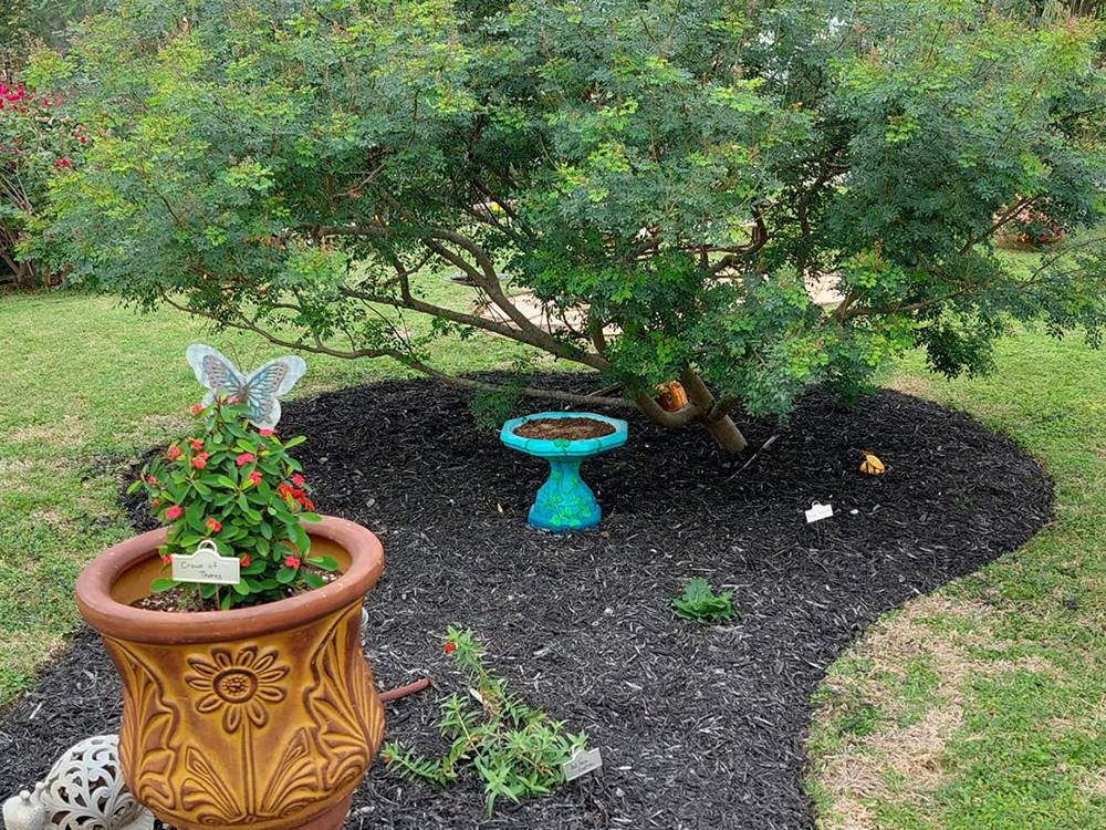 Landscaped area at Seven Oaks Resort