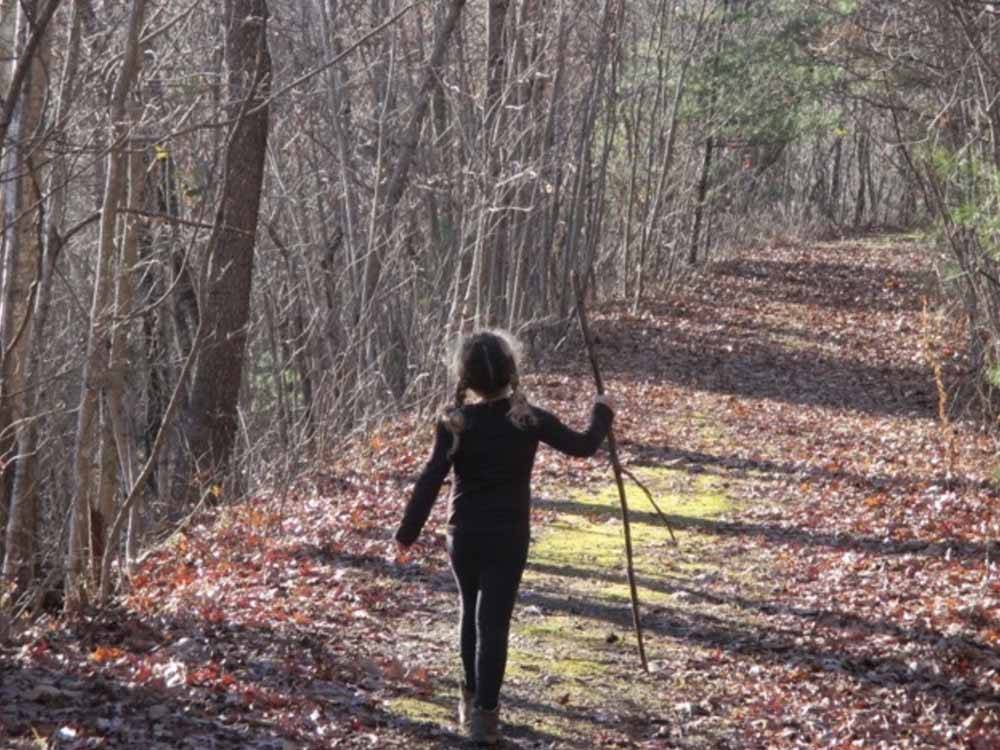 A girl with a stick walking on a trail at CAMPFIRE LODGINGS