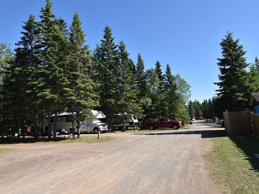 Campsites with pine trees at WAWA RV RESORT & CAMPGROUND