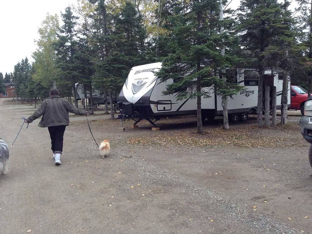 Camper walking two dogs in RV campground at WAWA RV RESORT & CAMPGROUND
