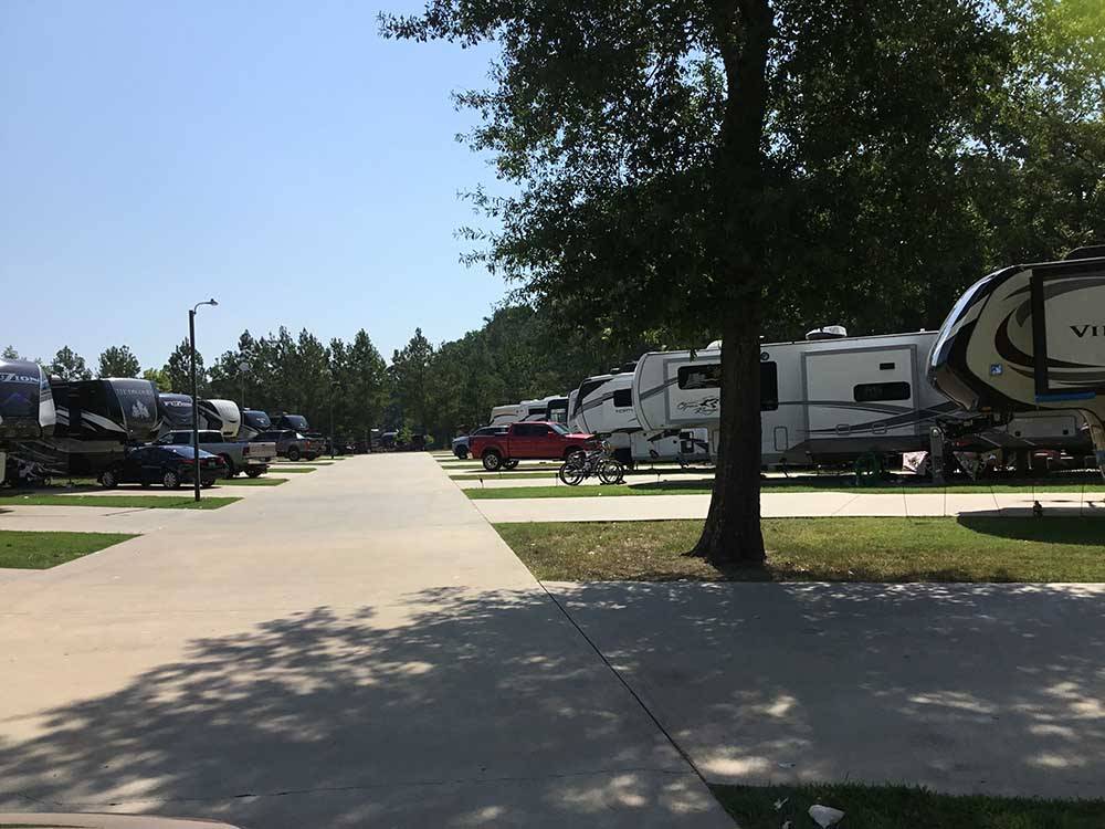 Road leading to RVs parked on-site at FERNBROOK PARK