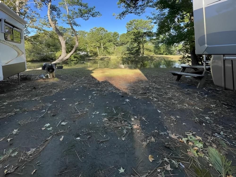 Open RV space at site Lake Moultrie RV Park & Marina