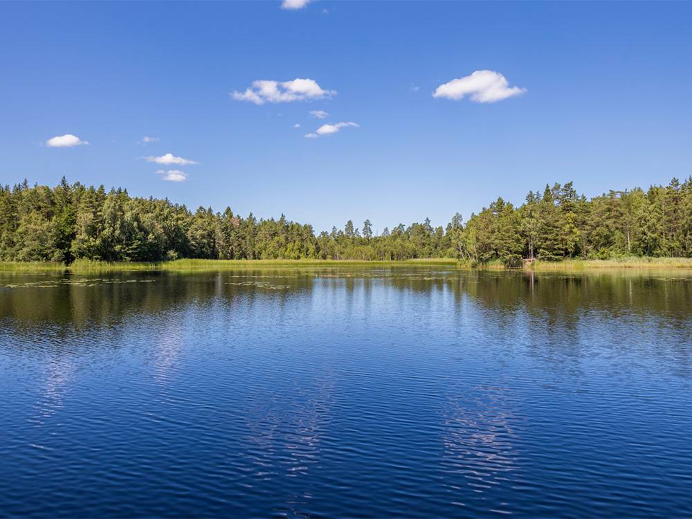 Campground Image