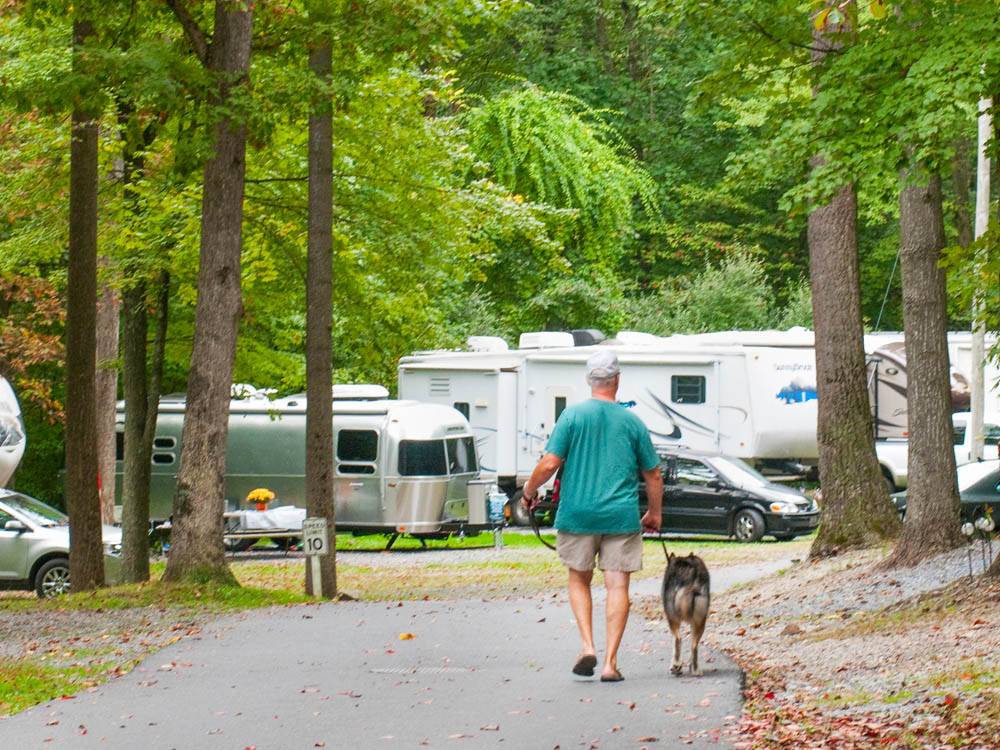 Man walking dog at campground at THOUSAND TRAILS PA DUTCH COUNTRY