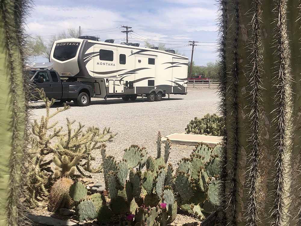 A view thru the cactus of a fifth wheel trailer at THE SCENIC ROAD RV PARK