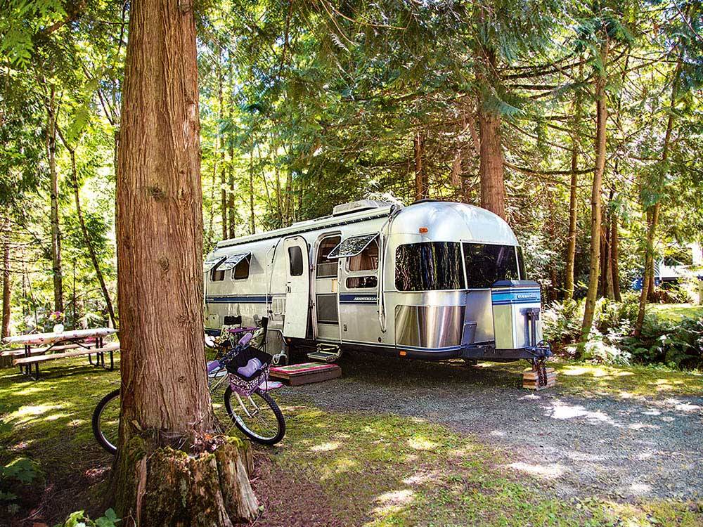 Shiny vintage trailer parked near pine trees and bicycle at TALL CHIEF RV  CAMPING RESORT