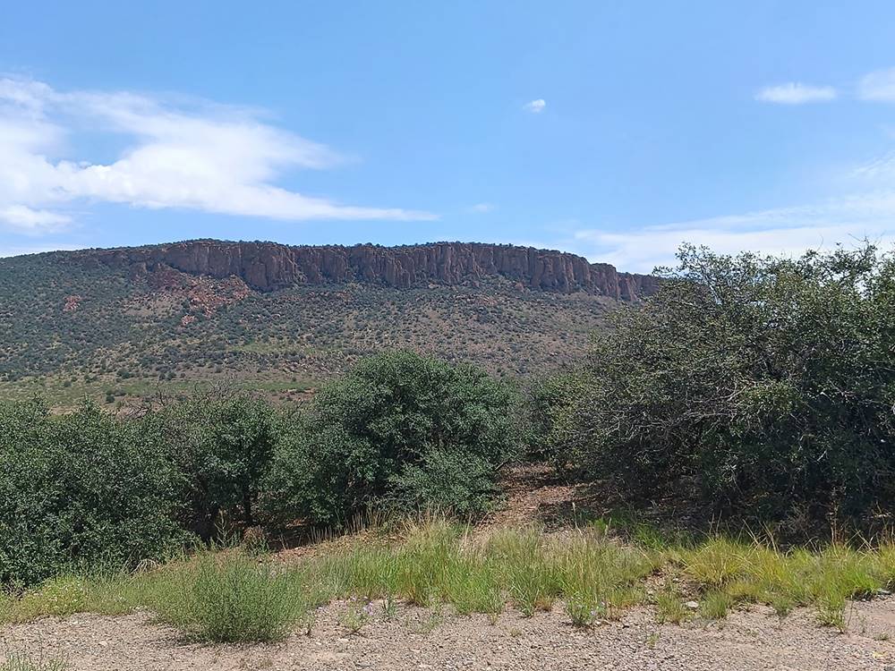 The area surrounding the park