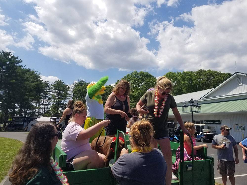 People going for a truck ride