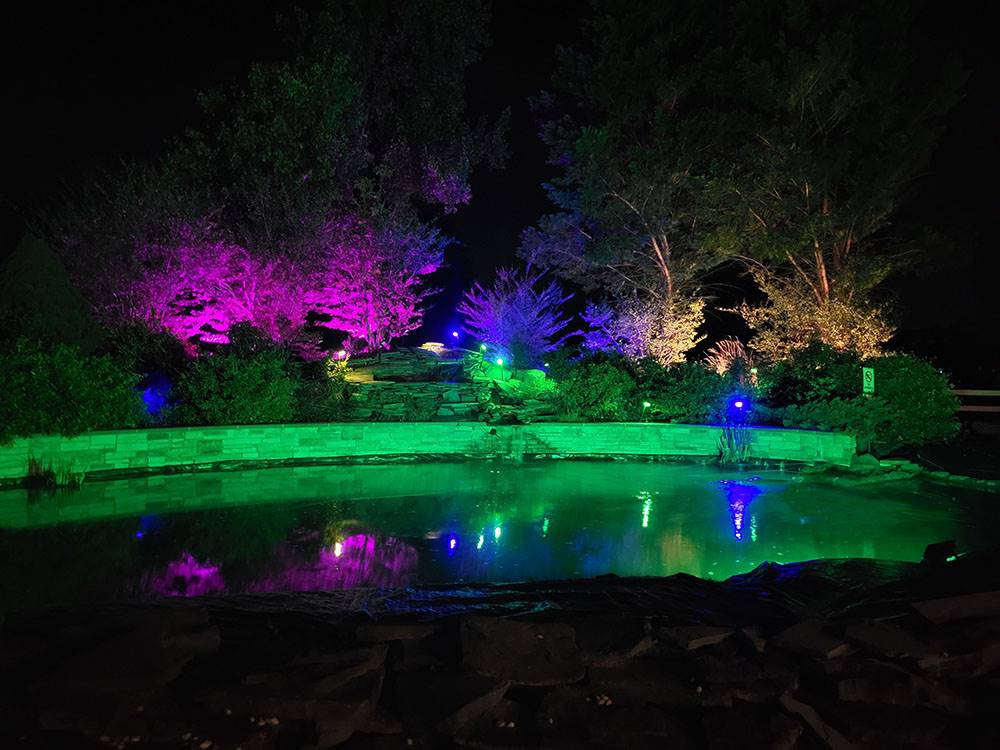 Night by the pond