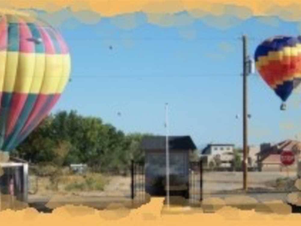 Two hot air balloons