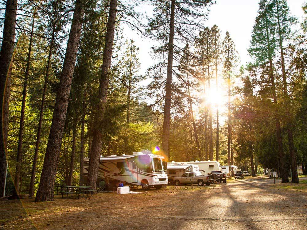 RVs and trailers at THOUSAND TRAILS YOSEMITE LAKES