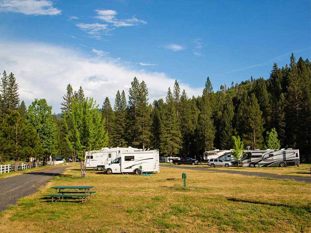 RVs parked on grassy sites at THOUSAND TRAILS YOSEMITE LAKES